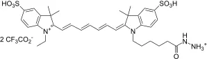 Cyanine 7 hydrazide [equivalent to Cy7® hydrazide] - image 1