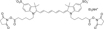Cyanine 7 bissuccinimidyl ester [equivalent to Cy7® bisNHS ester] - image 1