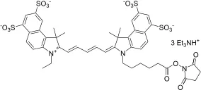 Cyanine 5.5 monosuccinimidyl ester [equivalent to Cy5.5® NHS ester] - image 1