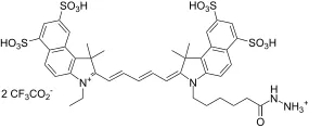 Cyanine 5.5 hydrazide [equivalent to Cy5.5® hydrazide] - image 1