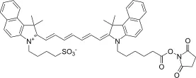 ICG-OSu - image 1