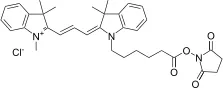 Cy3NS succinimidyl ester - image 1