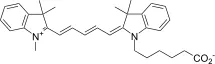 Cy5NS acid - image 1