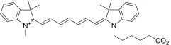 Cy7NS acid - image 1