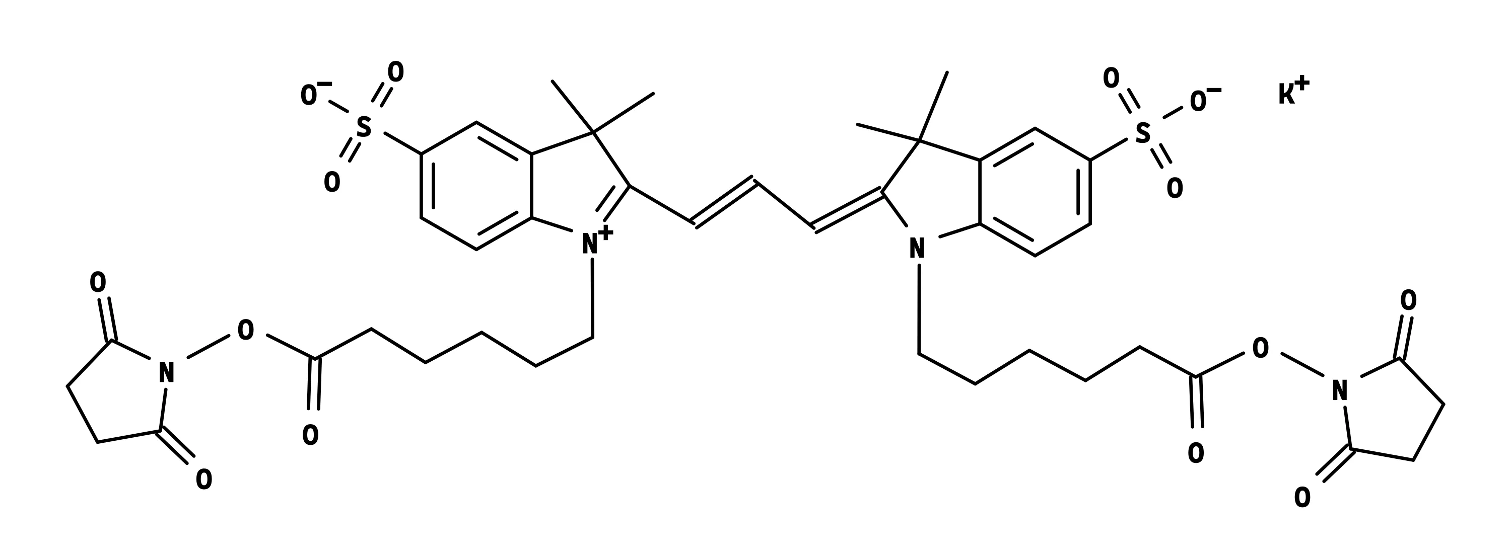 Cyanine 3 bissuccinimidyl ester, potassium salt [same as GE Cy3® bisNHS ester] - image 1