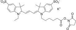 Cyanine 3 monosuccinimidyl ester, potassium salt [same as GE Cy3® NHS ester] - image 2