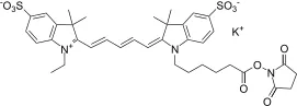 Cyanine 5 monosuccinimidyl ester, potassium salt [same as GE Cy5® NHS ester] - image 1