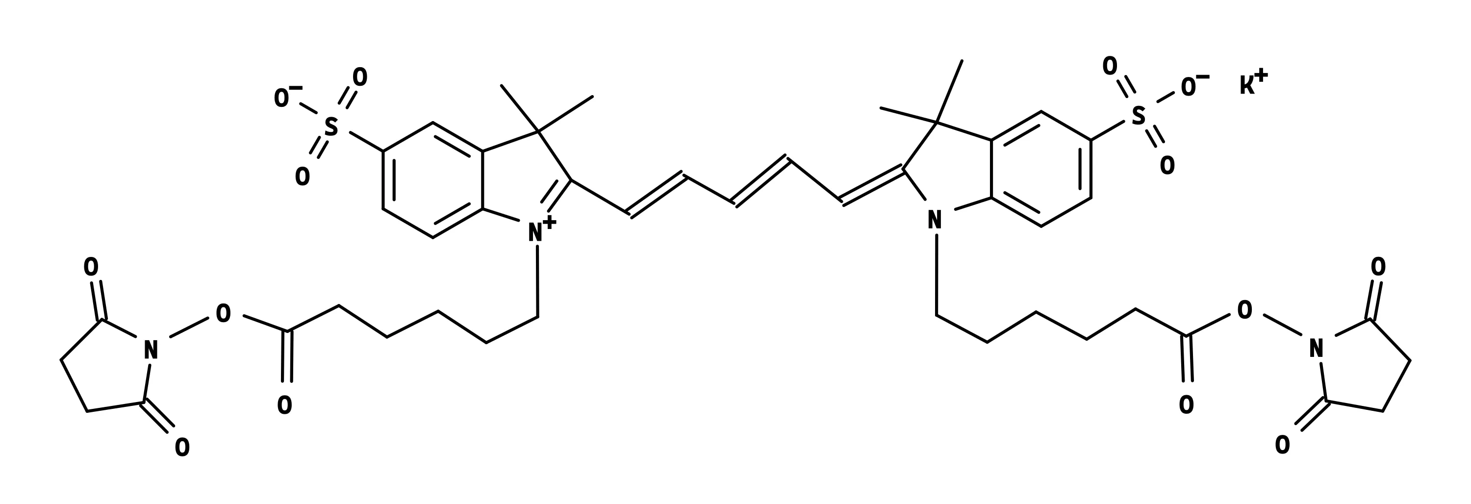 Cyanine 5 bissuccinimidyl ester, potassium salt [same as GE Cy5® bisNHS ester] - image 1