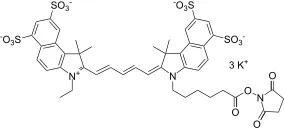 Cyanine 5.5 monosuccinimidyl ester, potassium salt [same as Cy5.5® NHS ester] - image 1