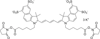 Cyanine 5.5 bissuccinimidyl ester, potassium salt [same as GE Cy5.5® bisNHS ester] - image 1