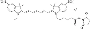 Cyanine 7 monosuccinimidyl ester, potassium salt [same as GE Cy7® NHS ester] - image 1