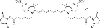 Cyanine 7 bissuccinimidyl ester, potassium salt [same as GE Cy7® bisNHS ester] - image 1