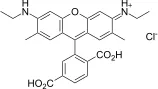 6-CR6G [6-Carboxyrhodamine 6G] *Single isomer* - image 1