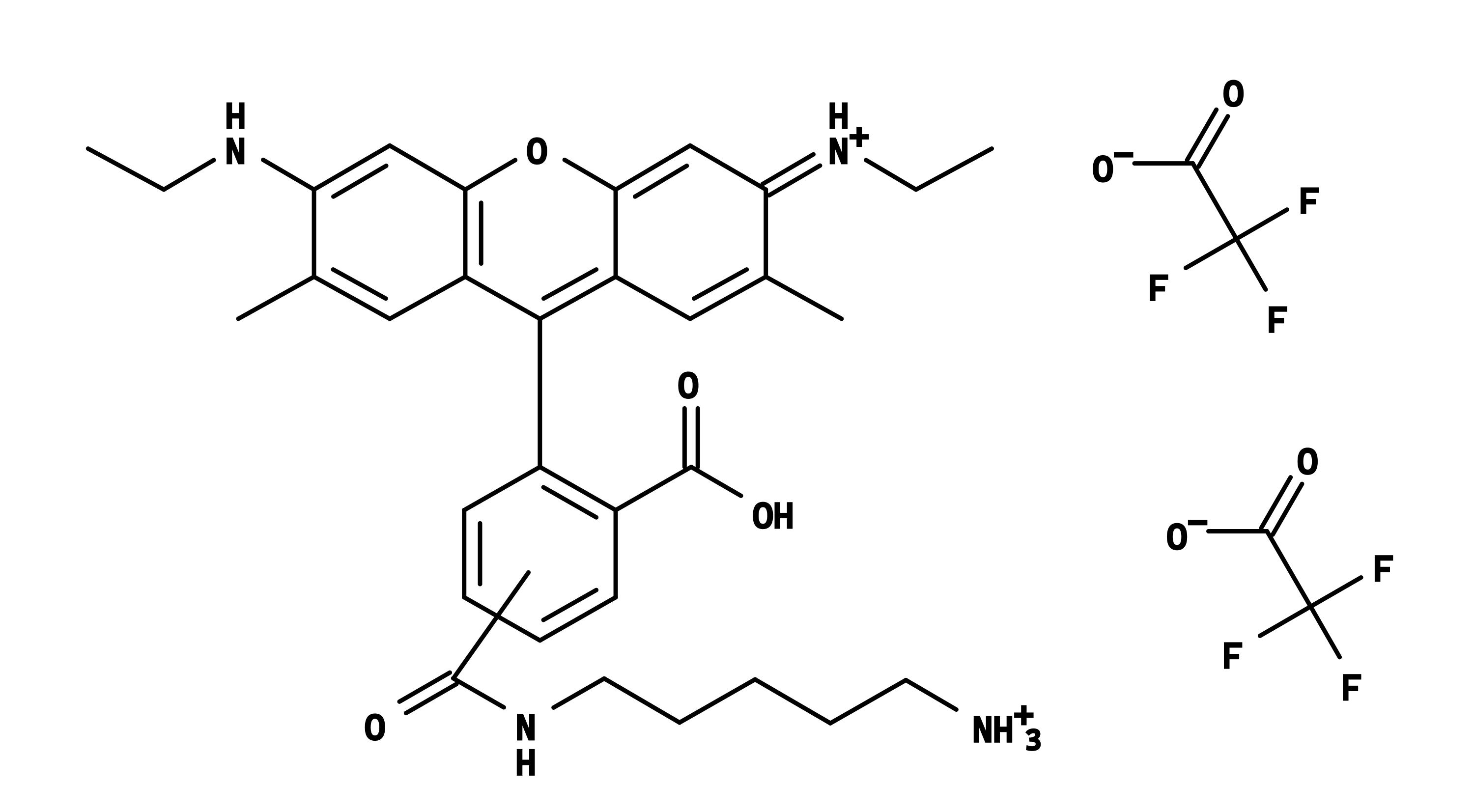 5(6)-Carboxyrhodamine 6G cadaverine - image 1
