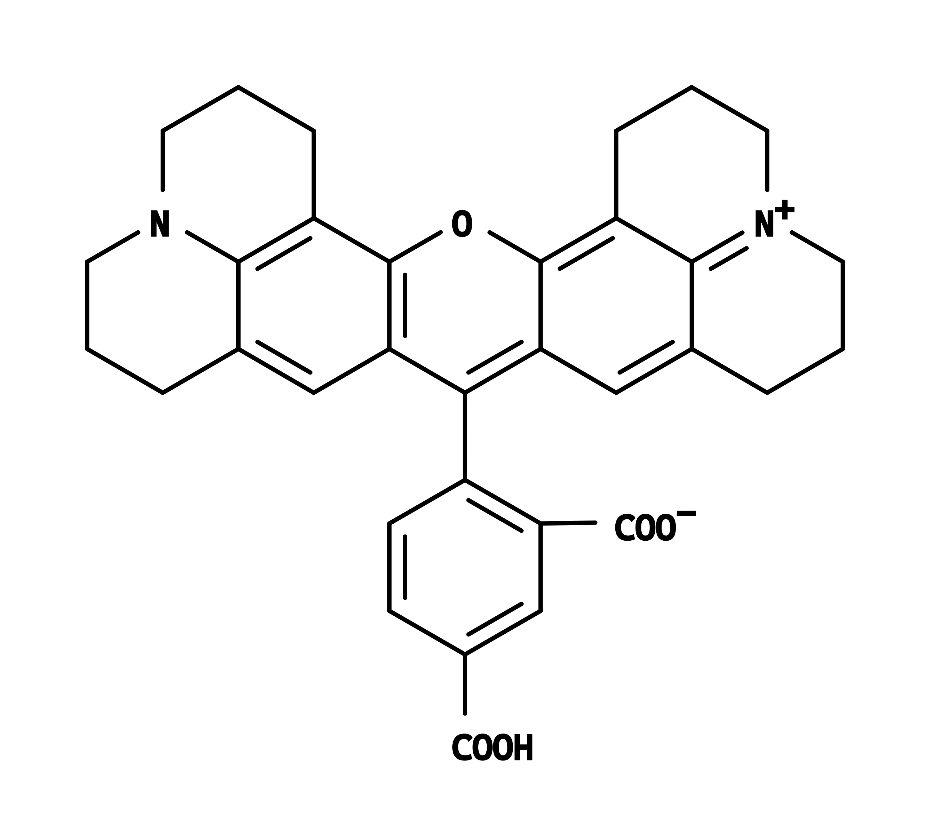 5-ROX [5-Carboxy-X-rhodamine] *CAS 216699-35-3* - image 1