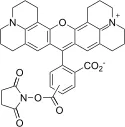 5(6)-ROX, SE [5-(and-6)-Carboxy-X-rhodamine, succinimidyl ester] *Mixed isomers* - image 1