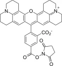 5-ROX, SE [5-Carboxy-X-rhodamine, succinimidyl ester] *CAS 209734-74-7* - image 1