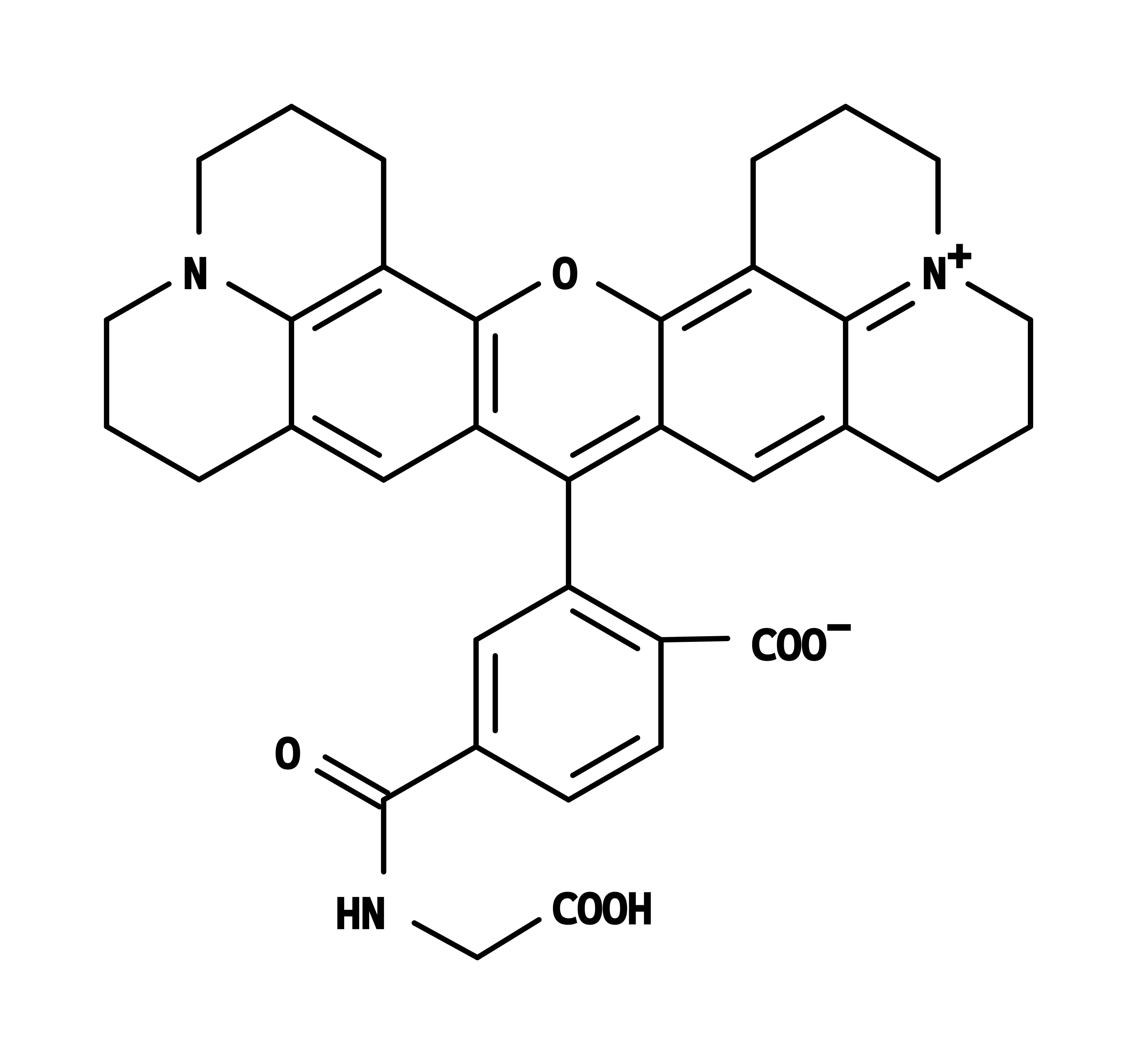 6-ROX glycine *25 uM fluorescence reference solution for PCR reactions* - image 1