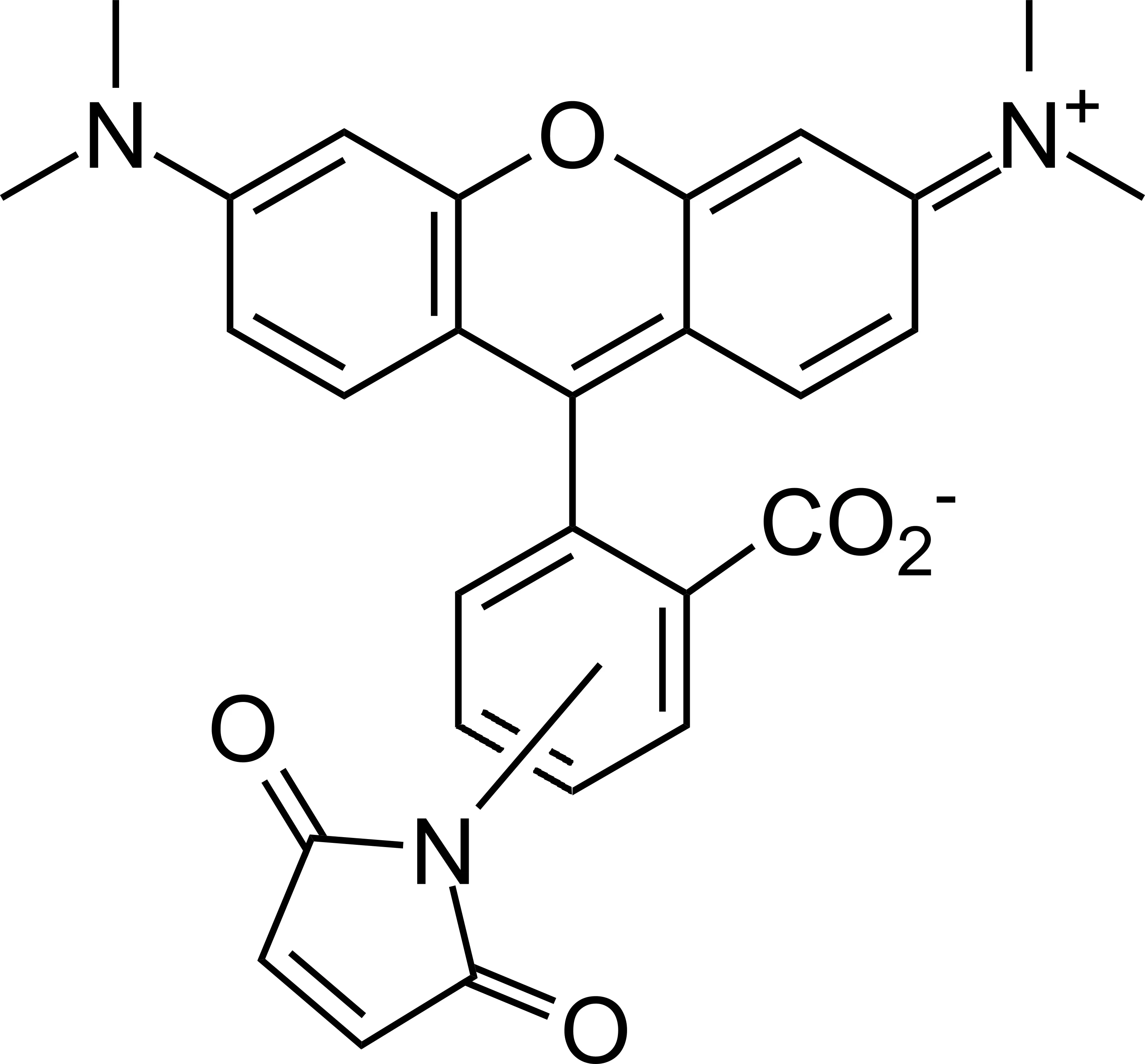 5(6)-TAMRA Maleimide [Tetramethylrhodamine-5-(and-6)-maleimide] *Mixed isomers* - image 1