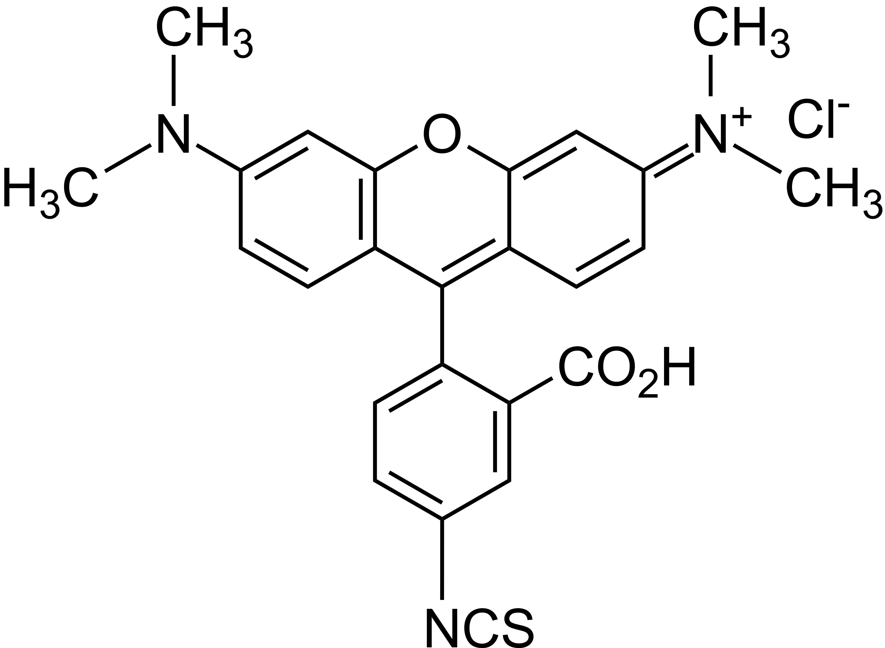 5-TRITC [Tetramethylrhodamine-5-isothiocyanate] *CAS 80724-19-2* - image 1