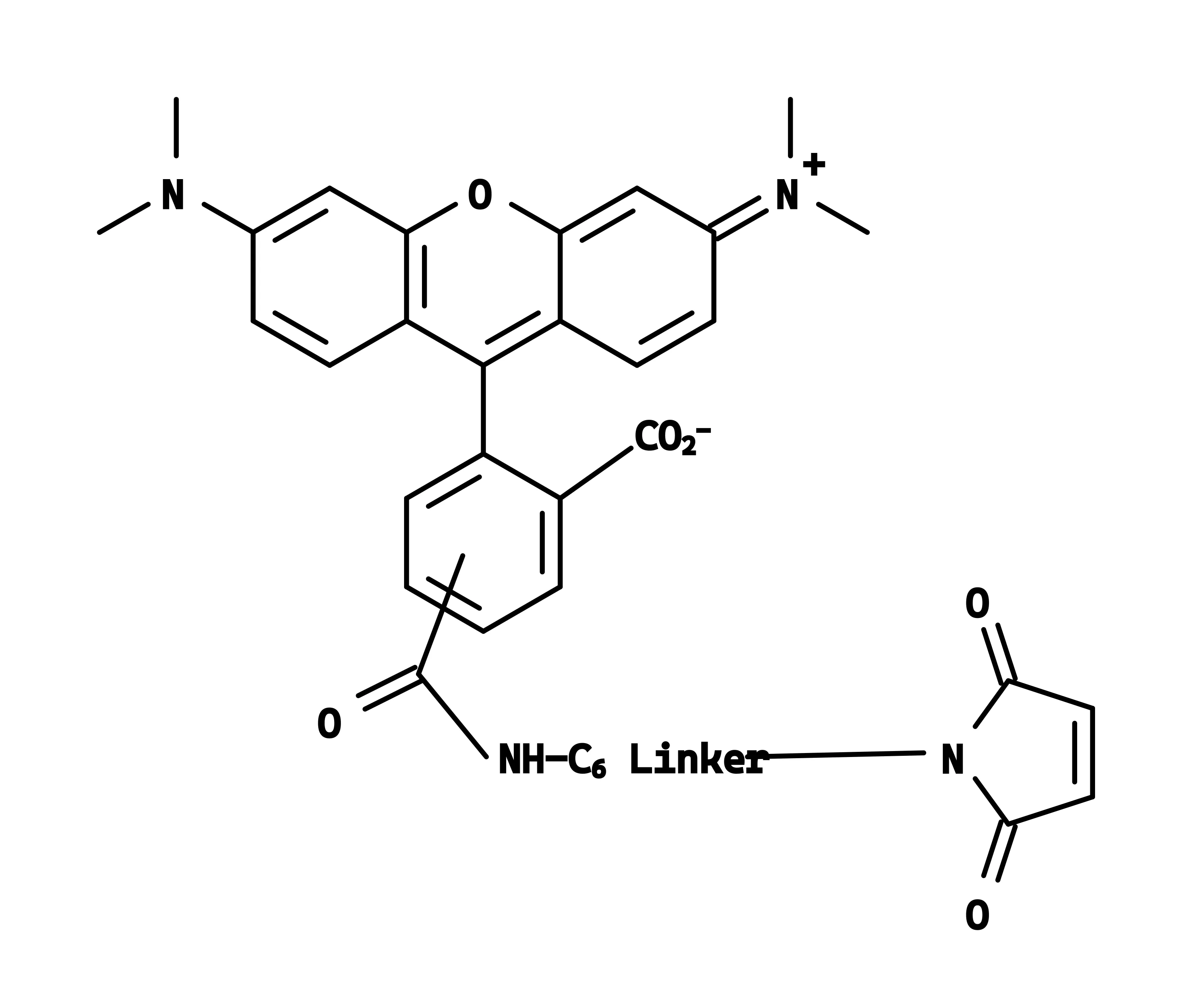 5(6)-TAMRA C6 maleimide - image 1