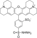 Texas Red® hydrazide *Single Isomer* - image 1
