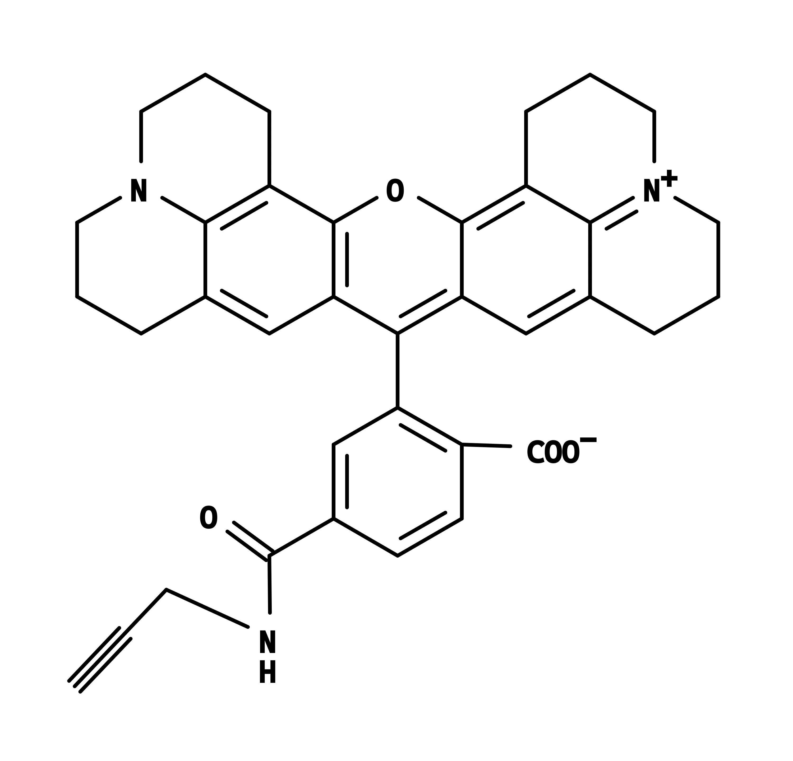 6-ROX alkyne - image 1