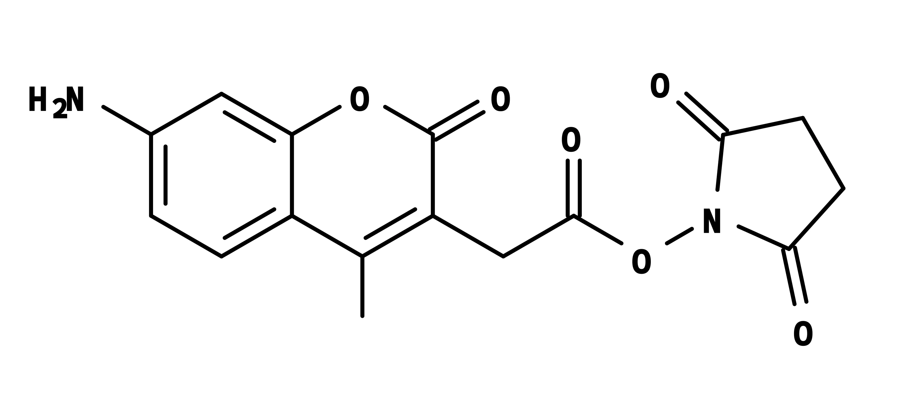 AMCA, succinimidyl ester - image 1