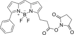 Bodi Fluor™ R6G NHS Ester [equivalent to Bodipy® R6G, NHS Ester] - image 1
