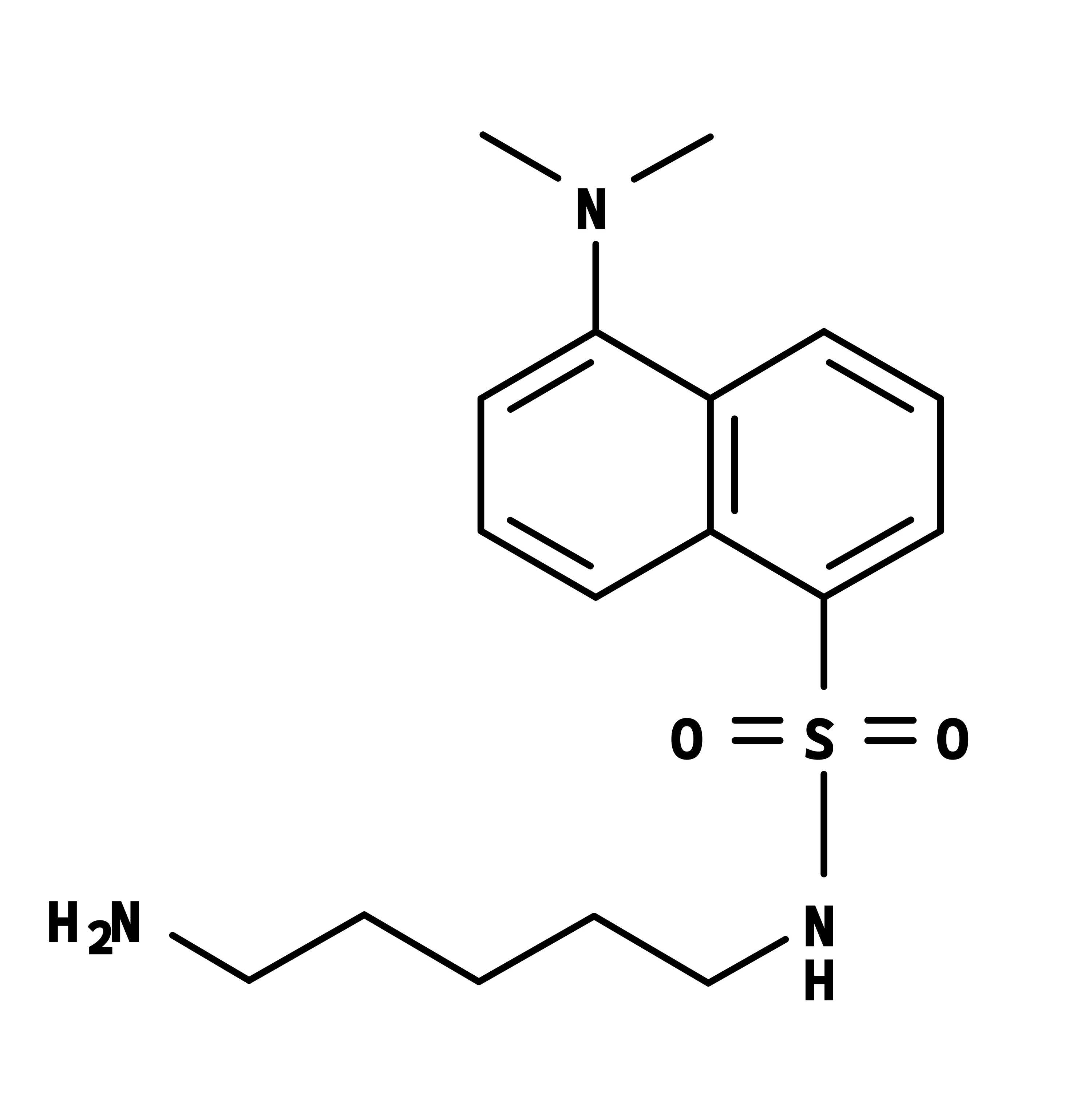 Dansyl cadaverine [5-Dimethylaminonaphthalene-1-(N-(5-aminopentyl))sulfonamide] - image 1