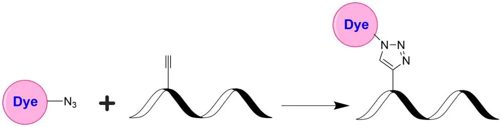 Tide Quencher™ 4WS azide [TQ4WS azide] - image 1