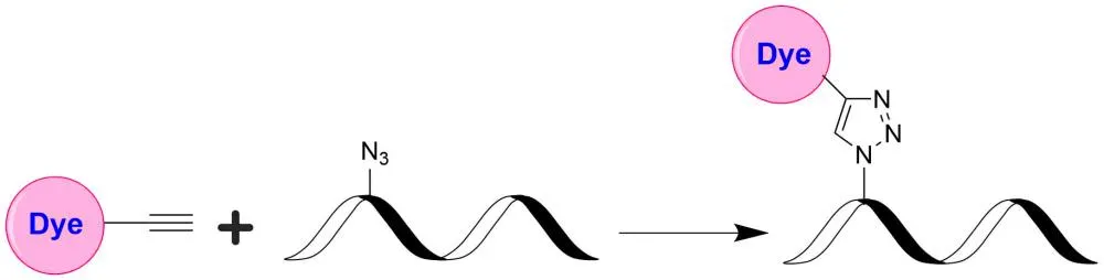 Tide Quencher™ 2 alkyne [TQ2 alkyne] - image 1