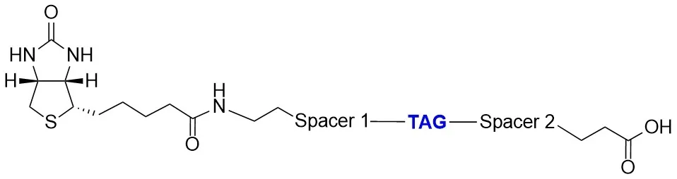 ReadiView™ biotin acid - image 1