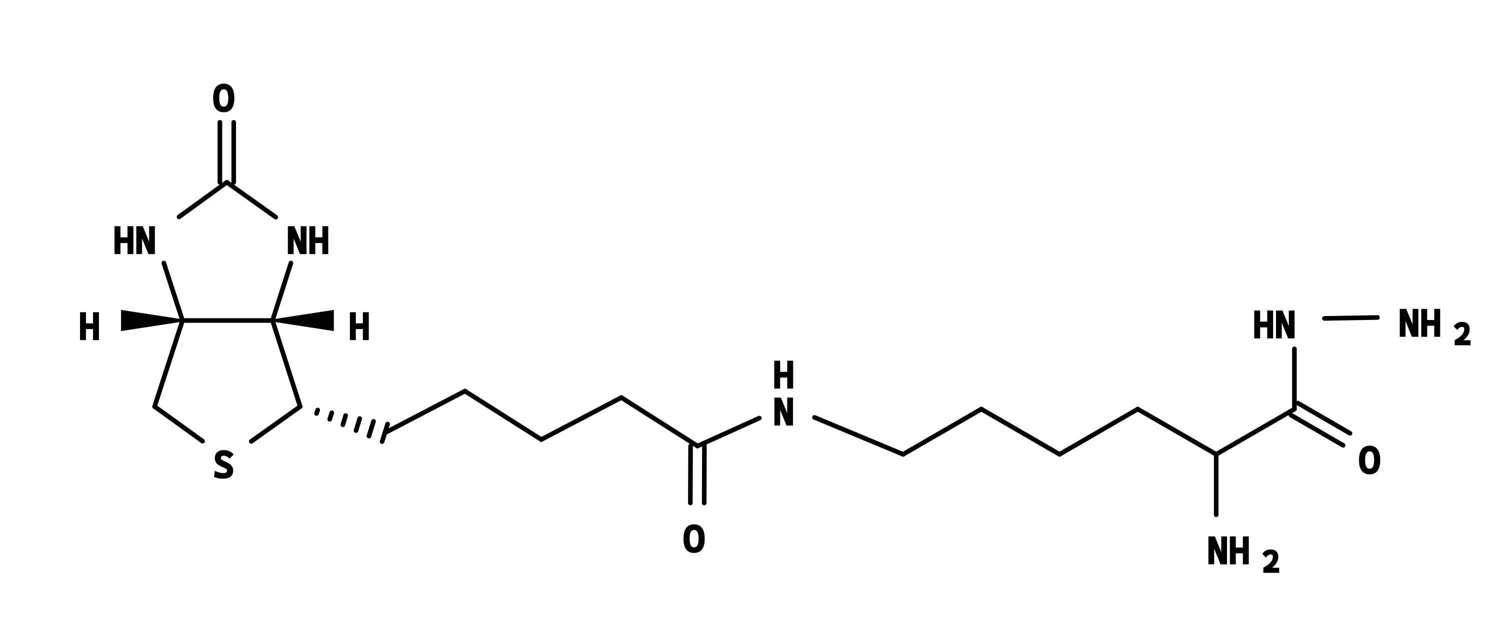 Biocytin hydrazide *CAS 102743-85-1* - image 1