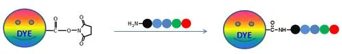 ReadiLink™ Protein Conjugation Stop Buffer - image 1