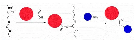 ReadiLink™ KLH Conjugation Kit - image 1