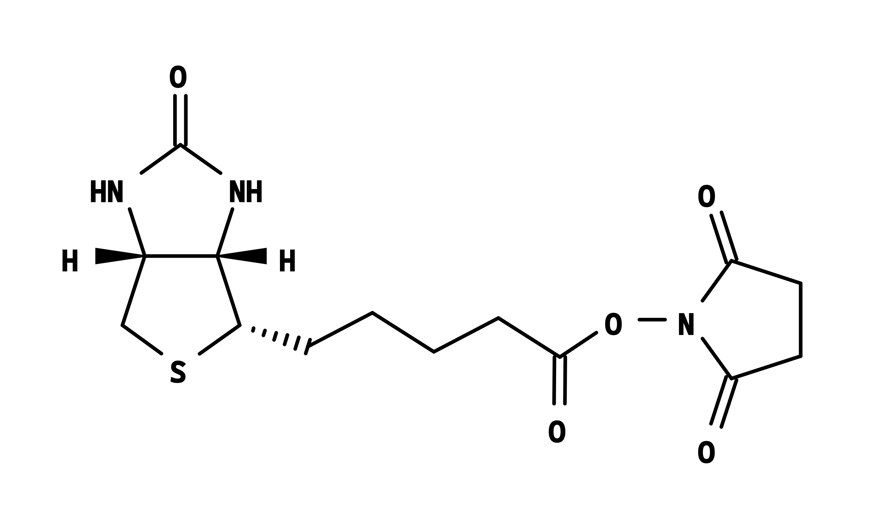 ReadiLink™ Protein Biotinylation Kit - image 1