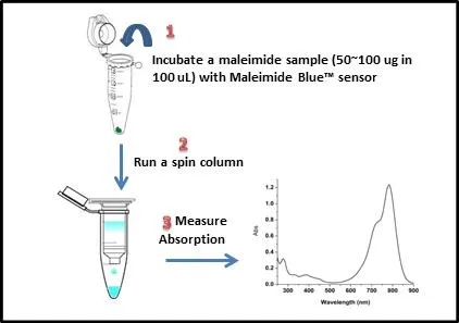 Amplite® Rapid Colorimetric Maleimide Quantitation Kit - image 1