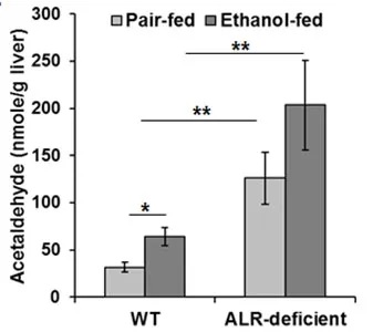 Amplite® Fluorimetric Aldehyde Quantitation Kit - image 2
