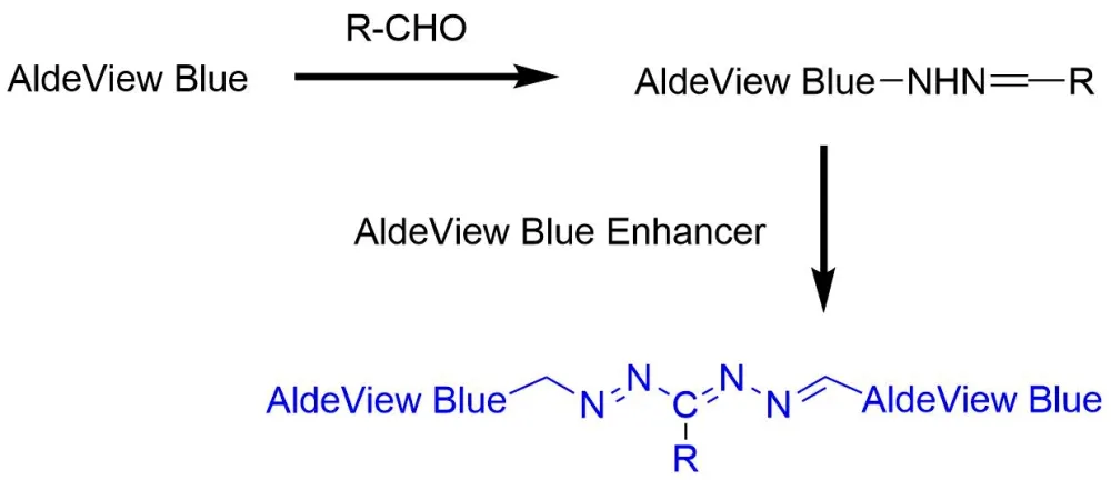 Amplite® Colorimetric Aldehyde Quantitation Kit *Blue Color* - image 1