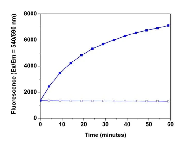 Signal Guard™ HRP reaction stopping reagent - image 1