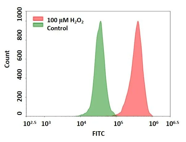Cell Meter™ Intracellular Fluorimetric Hydrogen Peroxide Assay Kit *Green Fluorescence Optimized for Flow Cytometry* - image 1