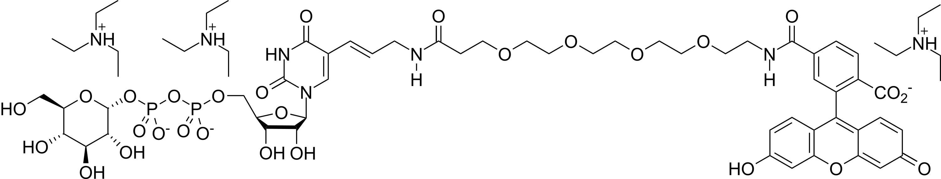 Glucose-UDP-(PEG)6-Fluorescein Conjugate - image 1