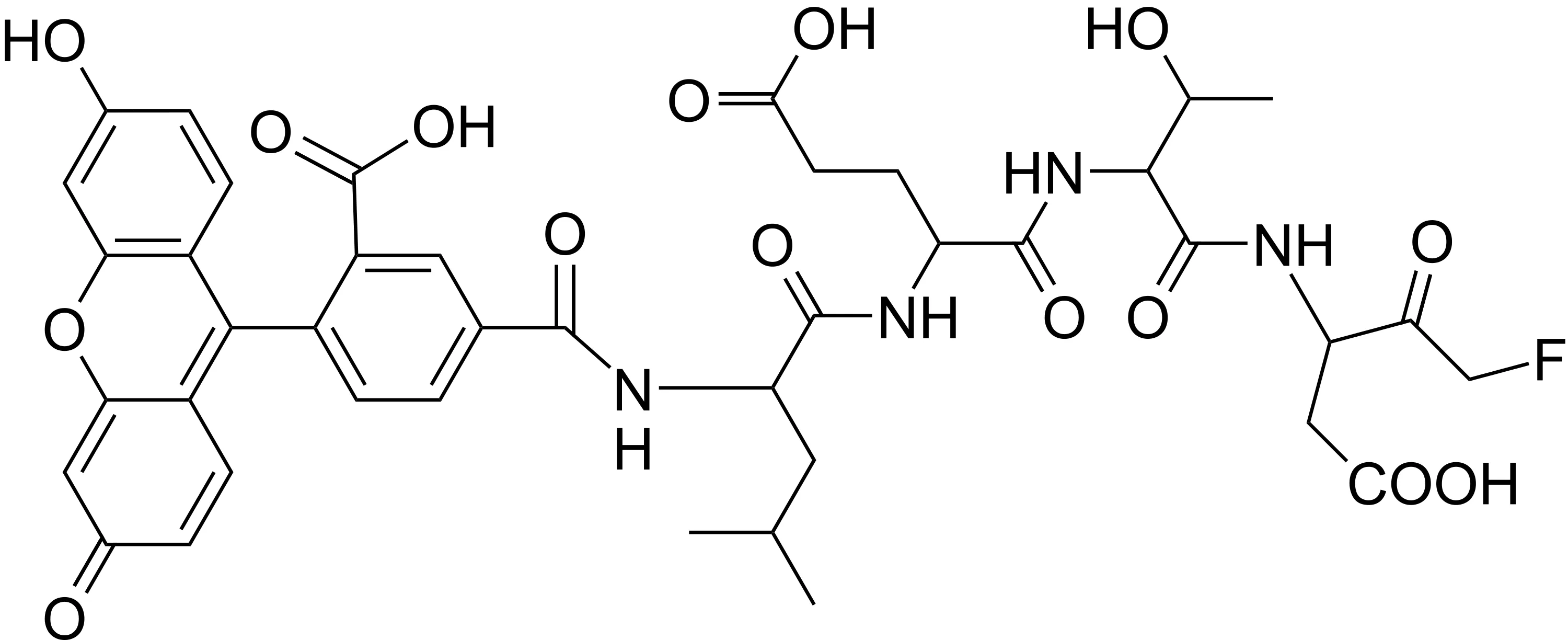 FAM-LETD-FMK - image 1