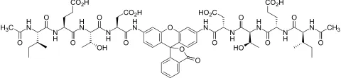 (Ac-IETD)2-R110 - image 1