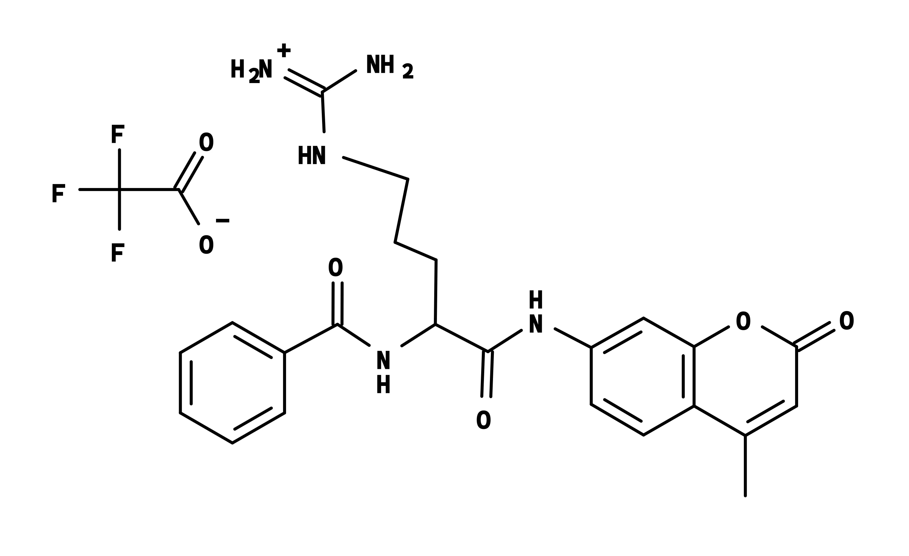 Benzoyl-Arg-AMC - image 1