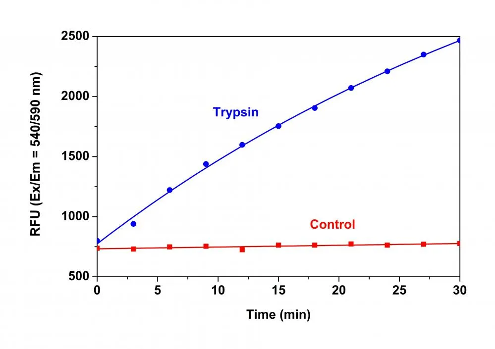 Amplite® Universal Fluorimetric Protease Activity Assay Kit *Red Fluorescence* - image 1
