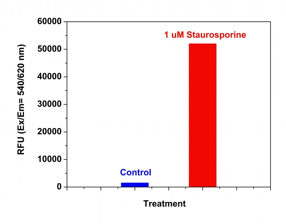 Amplite® Fluorimetric Caspase 3/7 Assay Kit *Red Fluorescence* - image 1