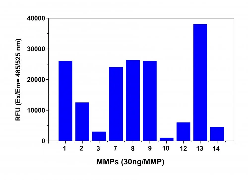 Amplite® Universal Fluorimetric MMP Activity Assay Kit *Green Fluorescence* - image 1