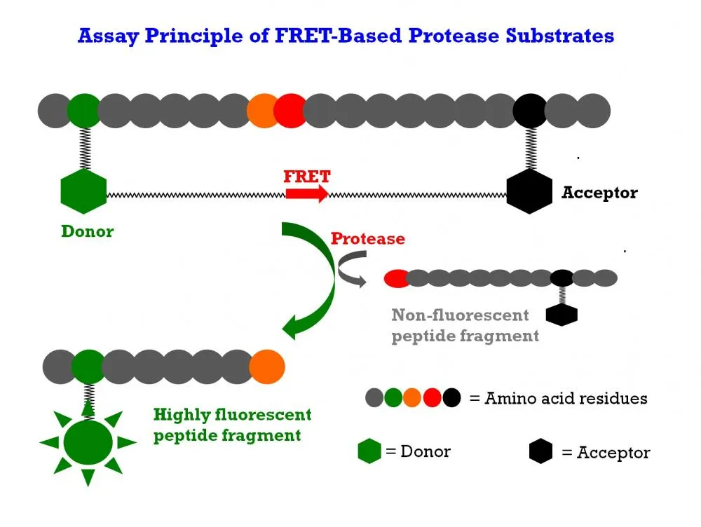 MMP Red™ substrate - image 1